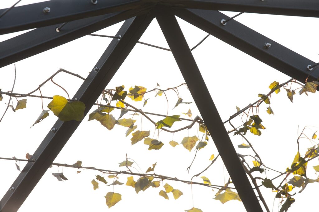 Gartenlaube Liechtenstein