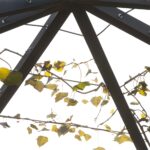 Gartenlaube Liechtenstein