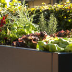 Hochbeet Cubus - Metall