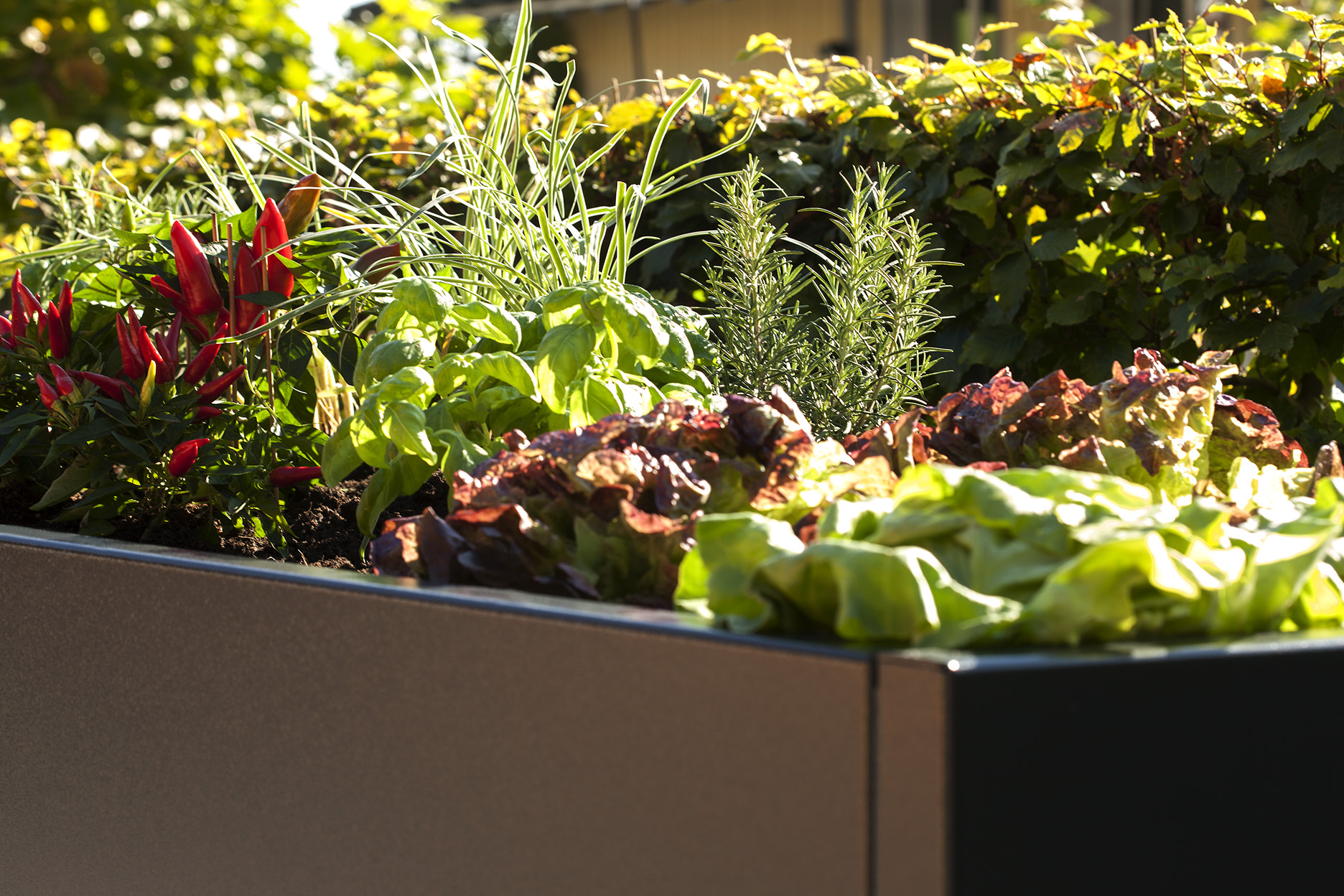 Hochbeet Cubus - Metall